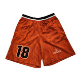 Men Plus Size with Compression Mesh Breathable Summer Embroidered Gym Basketball Shorts