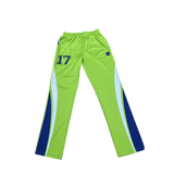 Neues Cricket-Trikot-Design, Sport-T-Shirt, Uniformhose des Cricket-Teams 