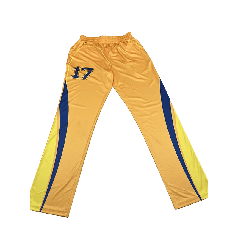 Neues Cricket-Trikot-Design, Sport-T-Shirt, Uniformhose des Cricket-Teams 